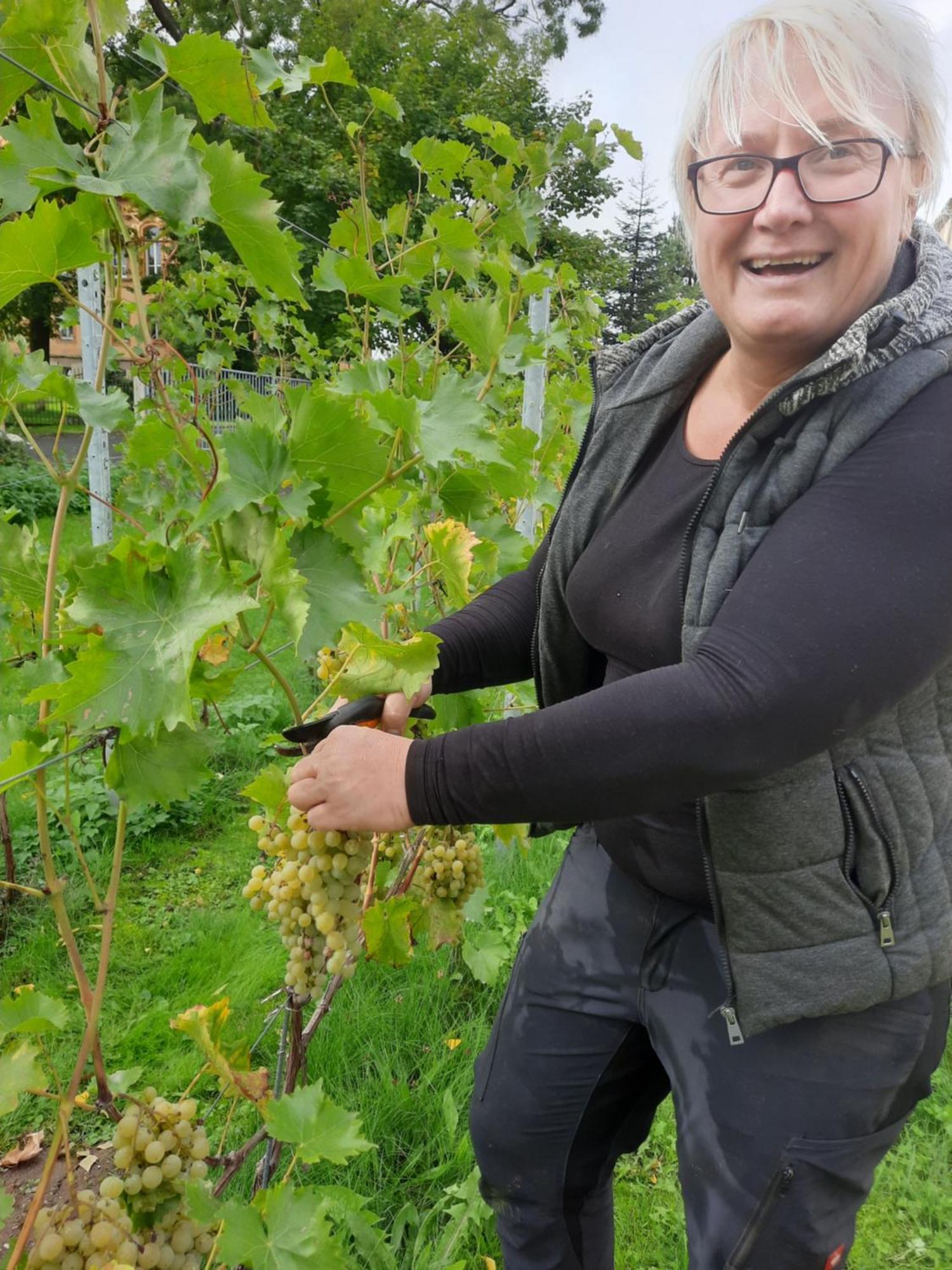 Ferienwohnung Weingut Lahmer August Kretzschau 外观 照片